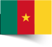 Cameroon Flag